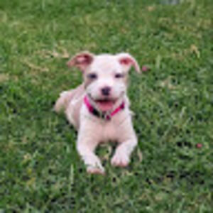 Meet your Posher, Aubrey